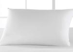 Standard Size Hypoallergenic 1000g Polyester Fiber Pillow