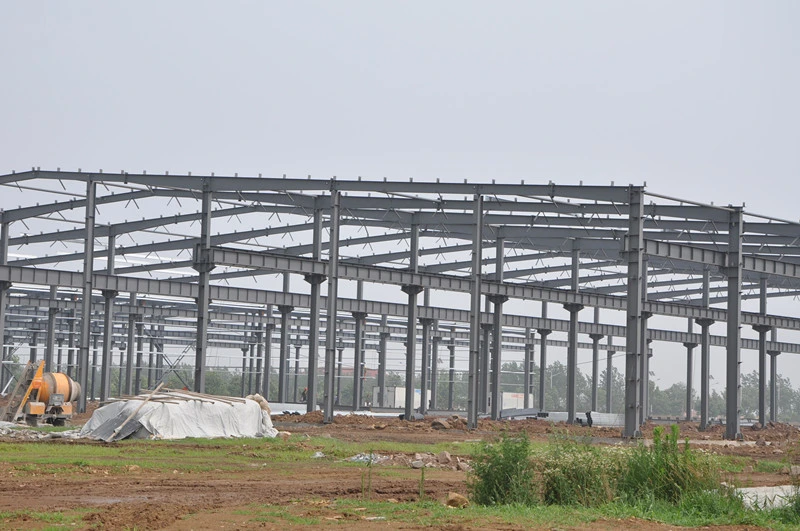 H Section Steel Structure Building/Workshop/Shed/Hanger Q235/Q345