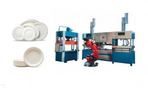 China Wheat Straw Pulp Tableware Production Line With Multi - Joints Robot And Stacking Machine wholesale