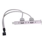 2 USB 2.0 Panel Female Connectors to 10 Pin 2.0mm , 35cm(12 inchs) length