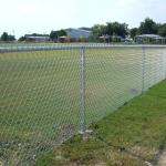 3.5mm Thick PVC Coated 8 Foot High Chain Link Fence Roll Low Carbon Steel