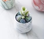 Marbled Succulent Flowerpot Mini Tripod Ceramic Flowerpot Vase