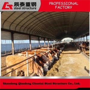 China Prefab Customized Steel Structure Poultry House For Efficient / Hygienic Bird Rearing wholesale