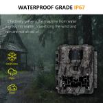 Cost Effective Hunting Camera KW561with Mini Size 30MP/1080P Waterproof IP67 up