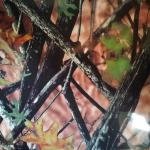 31um Dye Ink Printable Water Transfer Film 50cm 100cm Width For Metal