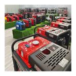 110V 220V Portable Small Natural Gas Generator Electricity For Home