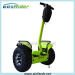 Green Personal Mobility Vehicle Standing 2 Wheel Electric Scooter