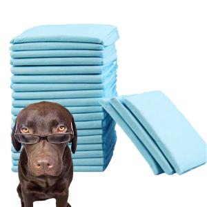China Pet Cleaning High Absorbency Disposable Puppy Training Pee Pad with CE ISO Certificate wholesale