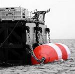Marine Guard Sea Floating Foam Boat Fenders High Durability High Chemical