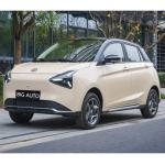 Fast Charging Pure Electric Car Joy 01 High Speed Electric Car Range Up To 335