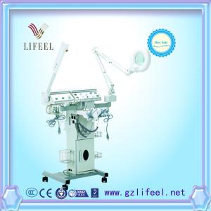 China 12 in 1 multifunctional facial machine beauty equipment (9006) wholesale