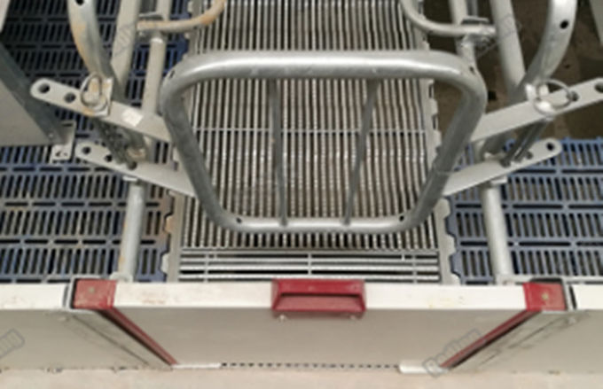 Fast delivery baby pig used nursery weaning crate weaning fence for piglets PE plate