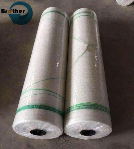 Wholesale Price Multi-Colored HDPE Puncture Resistance Hdpe Net for Rice Field