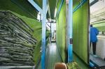 Durable Outdoor Artificial Ornamental Grass 35mm Baseball Fields Support