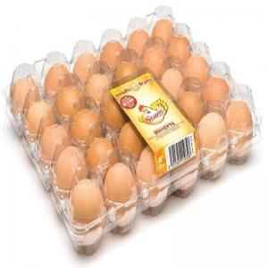China Convenient 8pcs 0.7mm PVC Plastic Egg Carton Transport Egg Incubator Tray wholesale