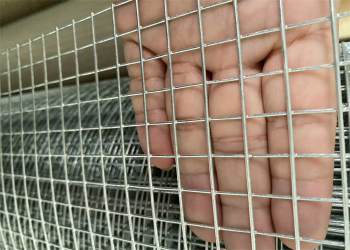 Galvanized Welded Iron Wire Mesh With Welded Weaving Type Wire Diameter 0.5mm 0.9mm