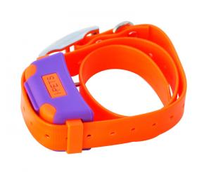 China Bluetooth 4.0 Remote Pet Training Collar Orange With i-Phone Controller on sale