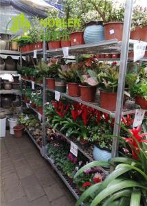 China Dutch Trolley Greenhouse Carts wholesale