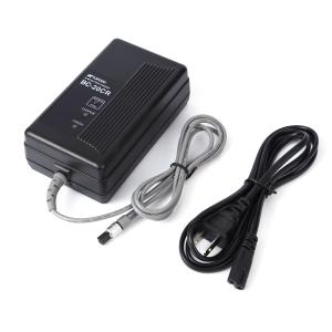 China Black 9.0V GTS-300 Energizer Nimh Battery Charger BC-20CR wholesale