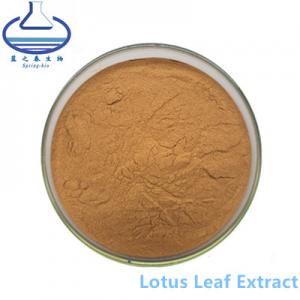 China Nuciferine Lotus Leaf Extract Powder CAS 475-83-2 for Food Additive wholesale