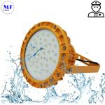 Explosion Proof Light For Gas Station Oil Industry Chemical Plant Atex Certified