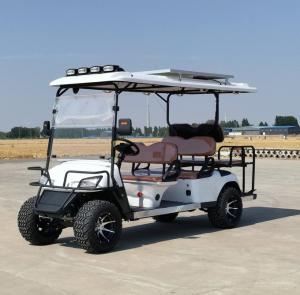 China 6 Seater Golf Cart Printing Customized Adult Rechargeable Tourist Sightseeing Car wholesale