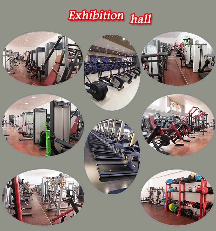 Pectoral Fly Rear Deltoid Full Gym Equipment with Elliptical Steel Tube