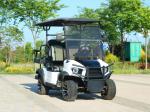 New Design 4 Seater Off Road Electric Golf Cart Lithium Battery Pu Seats Color