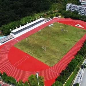 China Prefabricated System Athletic Running Tracks EPDM Material IAAF Approved wholesale