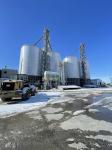 Uniform Drying Post harvest Grain Processing Machine For Guaranteed ROI And