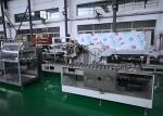 Blister Cartoning Machine Pharmaceutical Packaging Machine GMP Standard 200