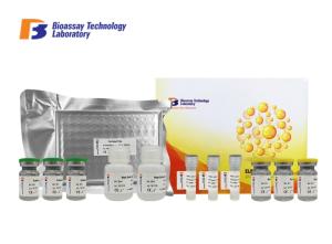 China Laboratory Research TK1 Canine ELISA Kits Thymidine Kinase 1 Soluble ELISA Kit 96 Well Plate wholesale
