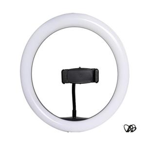 China 10 Inch LED Selfie Ring Light Portable Ring Light High Brightness For Live Stream wholesale