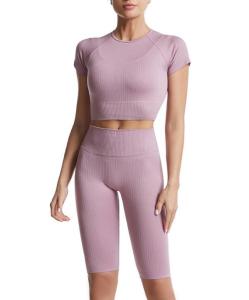 China Custom Clothing Workout Sets For Women 2 Piece Seamless Ribbed Crop Tank High Waist Shorts wholesale