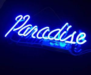 China Neon Signs Blue Paradise Beer Bar Bedroom Neon Light Handmade Glass Neon Lights Sign for Bedroom Office Hotel Pub Cafe R wholesale