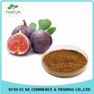China Fig Extract Powder/ Fig Extract for Herbal Medicine wholesale