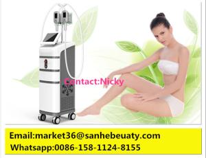 China Hot ! fat removal Cryolipo fat freezing machine wholesale