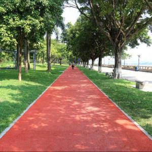 China IAAF Certified Prefabricated Running Track Rubber Jogging Track EPDM Particles wholesale