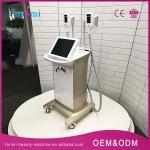 Manufacturer Hot Sale Cryolipolysis Freezing Fat Removal Equipment with 2