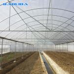Agricultural Plastic Sheeting Greenhouse With Hot Galvanized Steel Framework