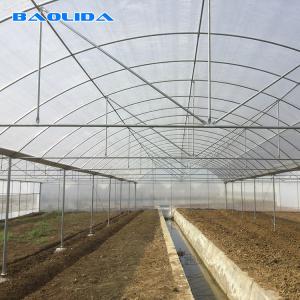 China Wind-Resistant High-Quality Crop Growth Plastic Wrap 8 Mil Multi Span Greenhouse wholesale