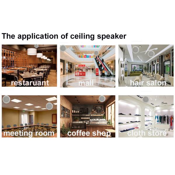Hotel Schools 100/70V Ceiling Speakers 8 Inch 40/20/10/5w/8ohm Coaxial Loudspeaker