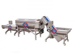 China Restaurant SUS #304 Material Salad Vegetable Production Line For Food Center wholesale