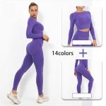 14 Colors Seamless Yoga Set Clothes High Elastic Sweat Wicking Hip Lift Sports