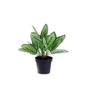 China Beautiful Plastice Artificial Indoor Plants Calathea Sanderiana 35CM High wholesale
