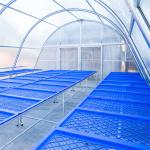 Solar Single Tunnel Greenhouse Polycarbonate Sheet Natural Rubber Drying