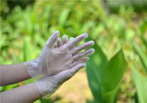 China Plastic Transparent Household Disposable TPE Gloves wholesale