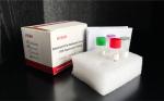 Infectious Disease Monkeypox Virus PCR Detection Kit CE Certified