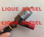 CAT Injector 320-0677 , 3200677 , 2645A746 For Caterpillar 320 0677