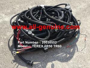 China TEREX 20030552 HARNESS FRAME NHL DUMP TRUCK TR35 TR50 TR60 TR100 3305B 3305F 3303 3307 TR45 TR70 MT4400 wholesale